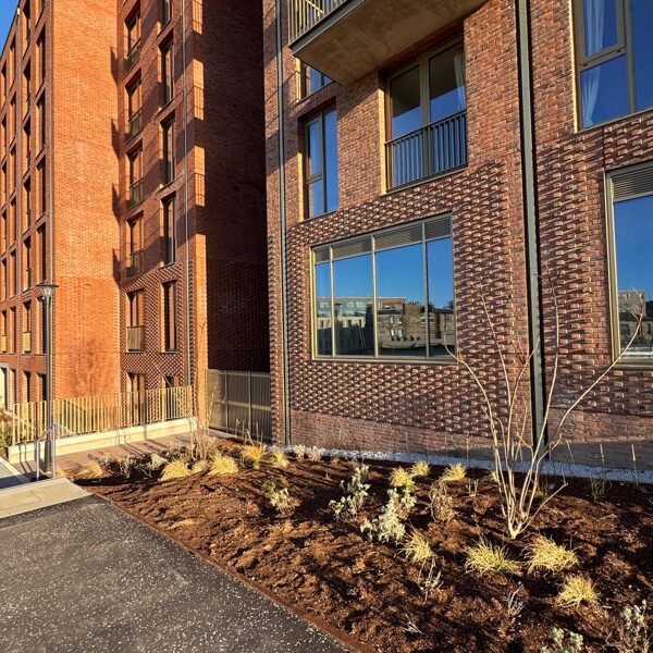 Edinburgh Fountainbridge 11